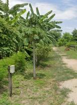 ��·��Թ ���ͧ������ä� ������ä�