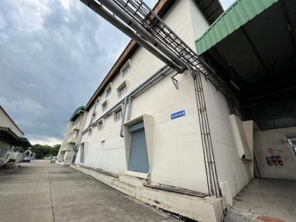 ⡴ѧ�ҧ�л� �� Airatda