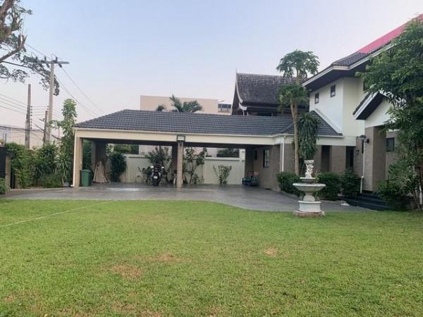 ���⢹� �� biw