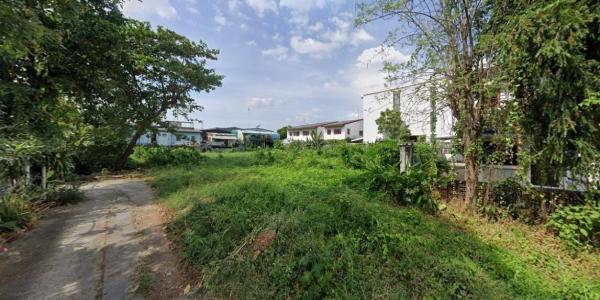 ���Ե �� HarrisonTH