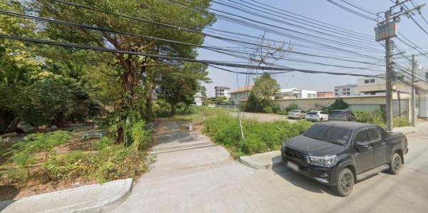 �����ѡ��� �� HarrisonTH