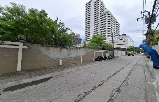 ��ا෾ �� The Vinvestor