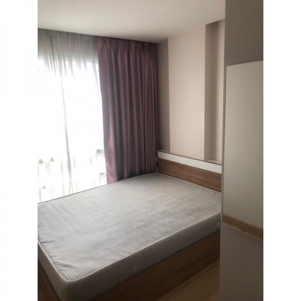 �Ѳ�� �� easythaihome