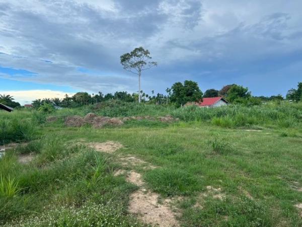 ��ªź��� �� pazarestate1