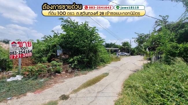 �չ���� �� lovethaihome101