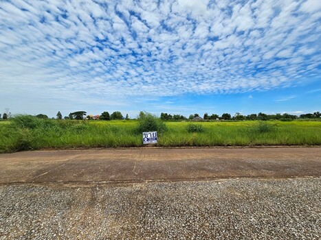 �ѭ���� �� Asset Internal