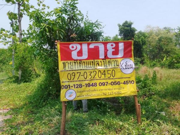 ˹ͧ��� �� zionasset1