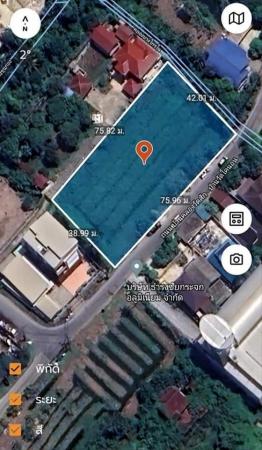 ���Թ��������� �ҧ����