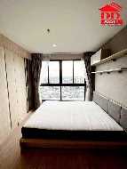 ��¤͹� �ҧ�� ��ا෾