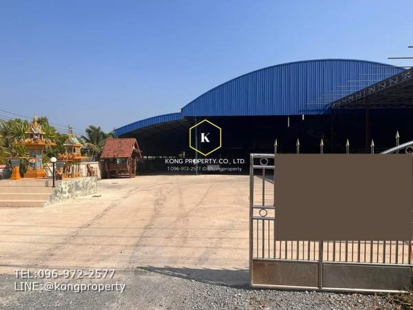 ⡴ѧ�����ҹ �� Kong property