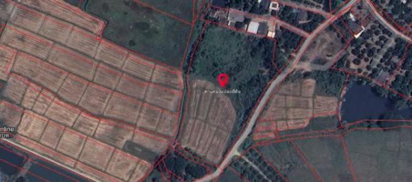 �Т�� �� kulchaya1