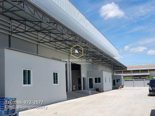 ⡴ѧ��ͧ��ǧ �� Kong property