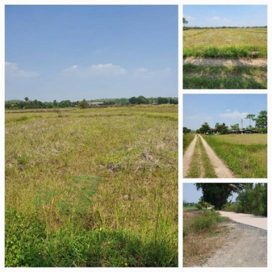 ������ �� sopa