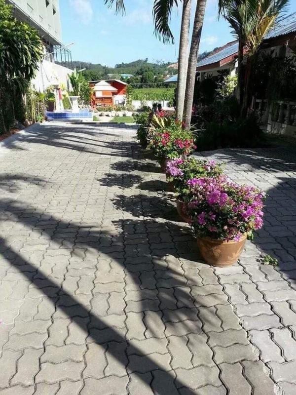 ��¸�áԨ ��ҧ����