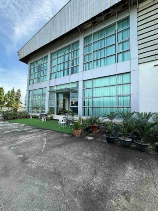 ⡴ѧ�ҧ��� �� asanghapl