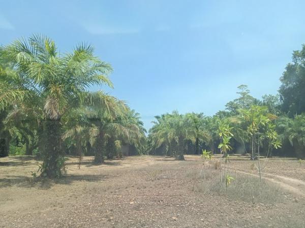 ��ª���� �� Noname2023