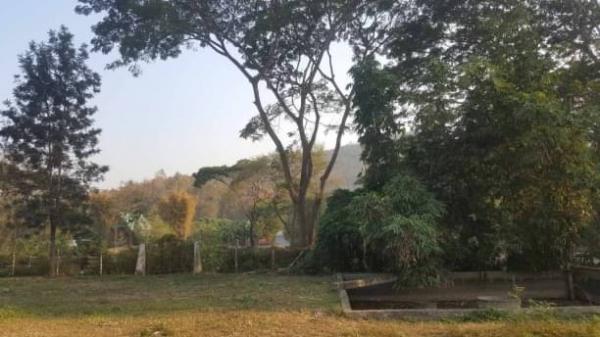 ������� �� onanong khumaphao