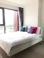 ������ �͹�