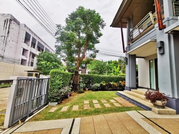 ������� �� kantapon4