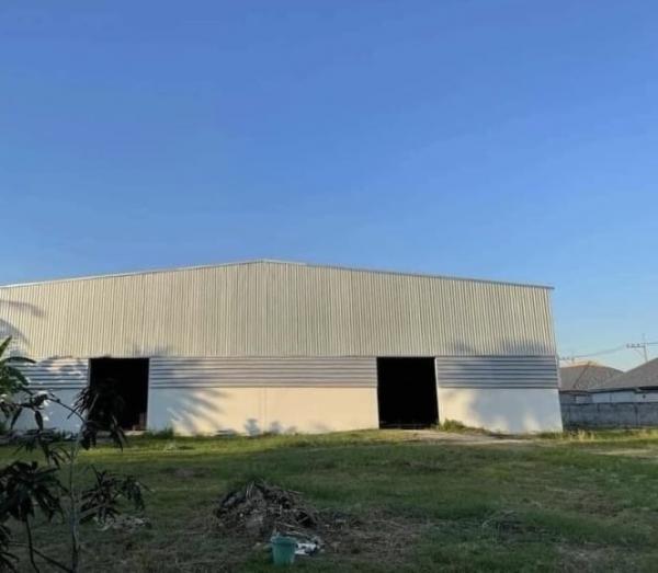 ��ªź��� �� 1000property