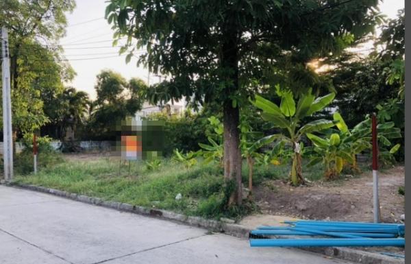 ���Թ���ͧ �� Nan