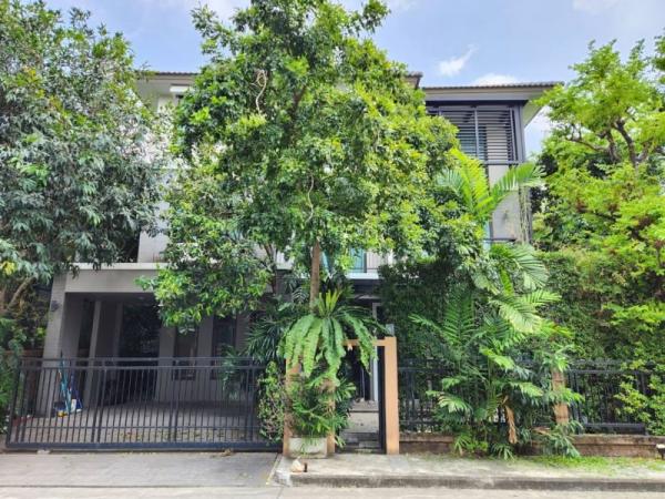 �����ԡ�