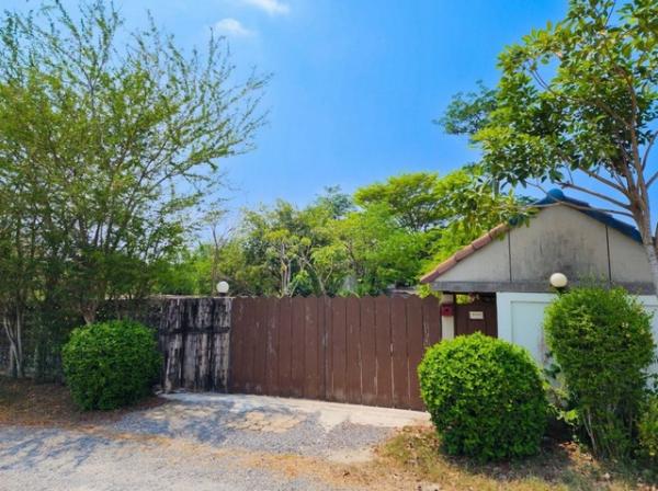 ขายโกดัง หนองจอก ขายโกดัง หนองจอก