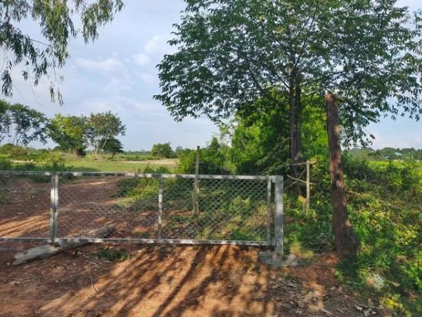 ���������� �� compos2566