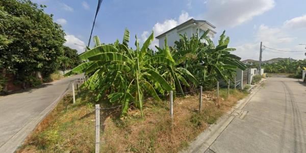 ����Ҵ����� �� HarrisonTH