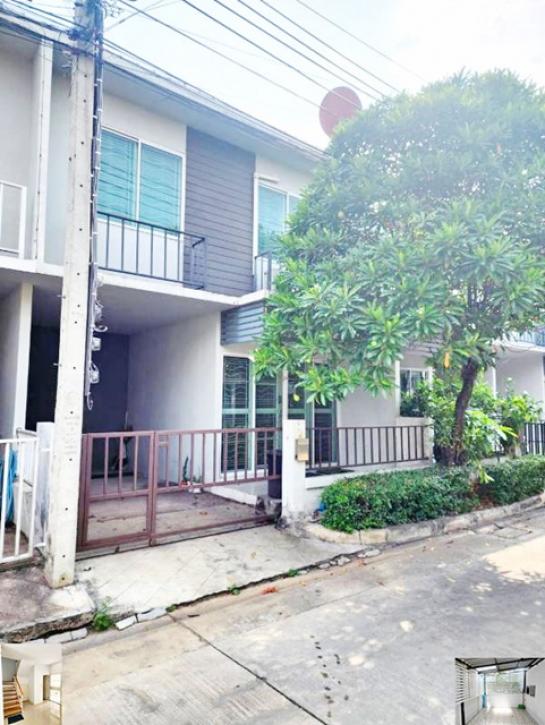 �ҧ�� �� calcunutgq