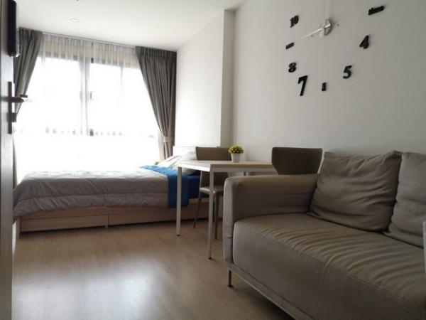 �͹�Swimming �ҧ��