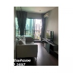 ��¤͹� �Ѳ��