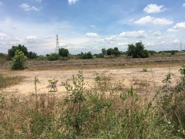 ��û�� �� sopa