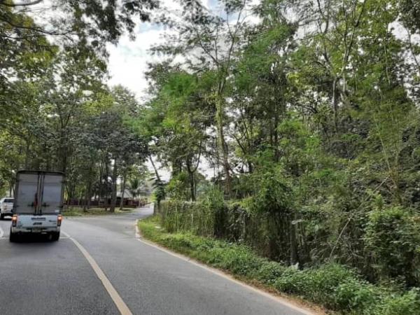 �ҧ�� �� onanong khumaphao