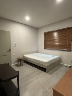 ��ҹ ������ 75 ���ҧ��