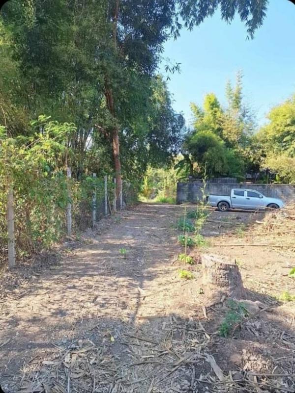 �ҧ�� �� northern1