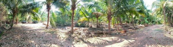 �ҡ �� zionasset1