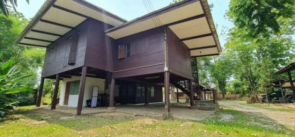 ���Թ�ǹ�ѧ�ش ��§����