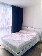 ������ �͹�