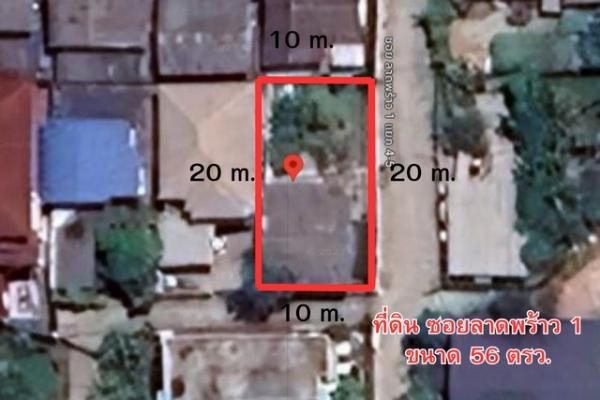 ����� �� kulchaya1