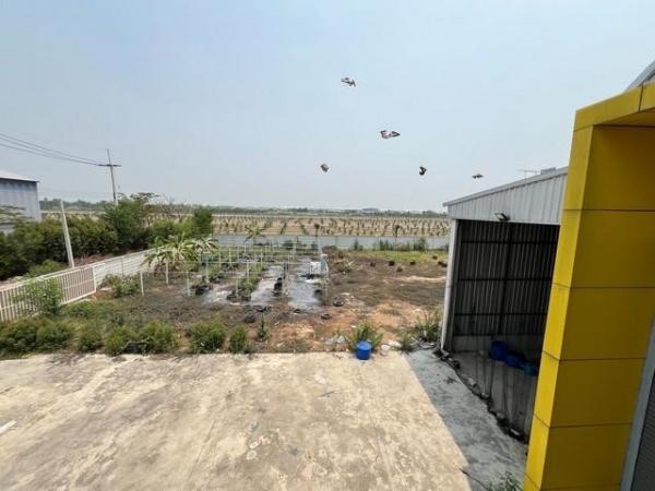 ��û�� �� kongpl