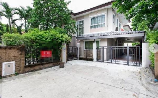 ��´͹���ͧ �� coasset22