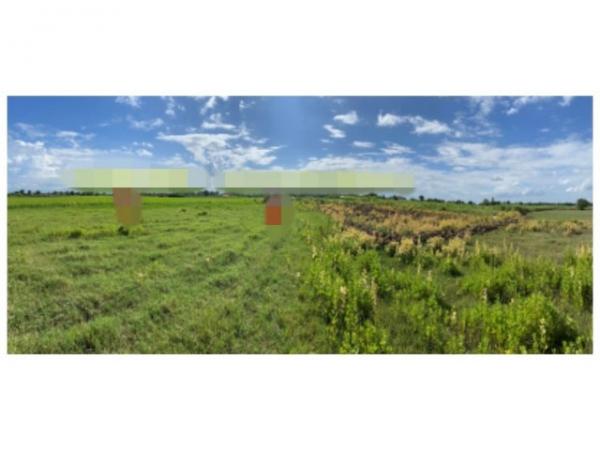 ��ᾧ�ʹ �� compos2566