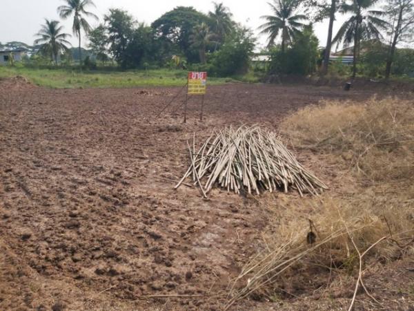 �͹�� �� zionasset1