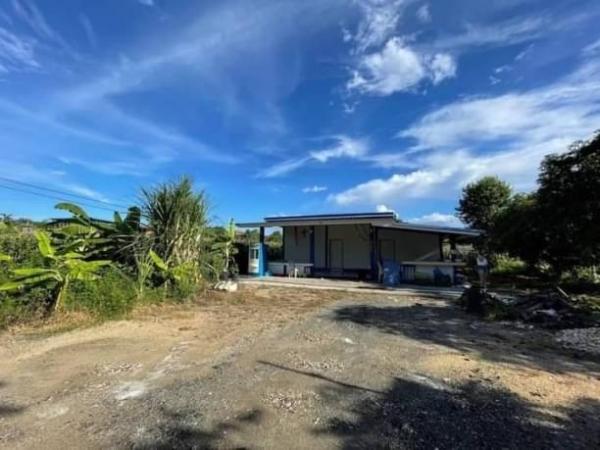 �ѹ���� �� northern1