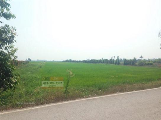 ���Թ 42 ���