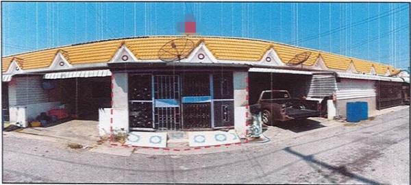 �Ѳ�� �� compos2566