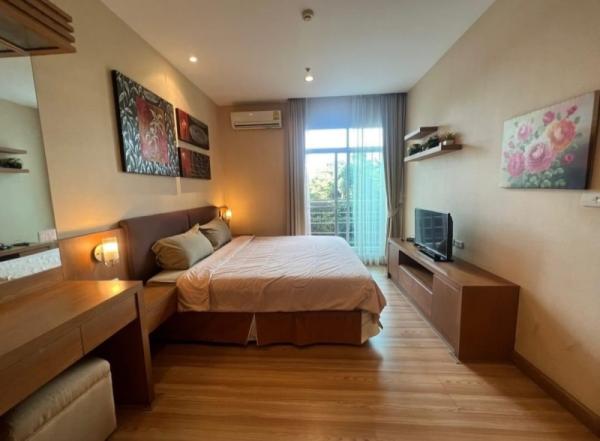 �Ң�ѭ �Ź�����