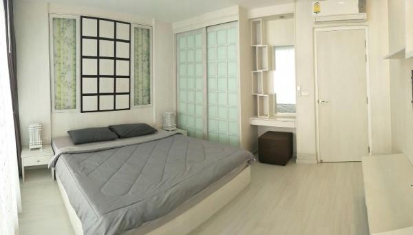 �Ң�ѭ �Ź�����