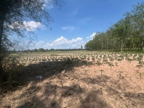 �ź��� �� ahousepost9